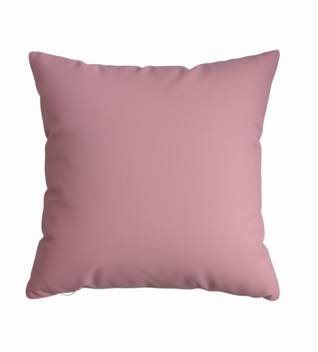 Brunschwig & Fils Outdoor Pink Cushion Cover